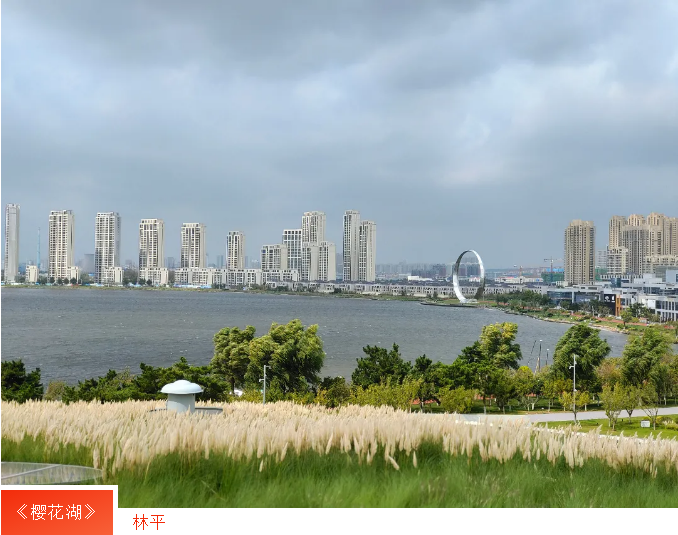 �����(�й���)���޹�˾����