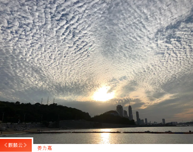 �����(�й���)���޹�˾����