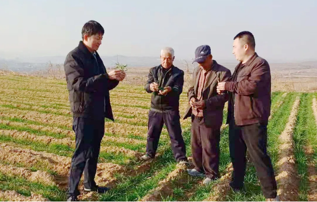 �����(�й���)���޹�˾����