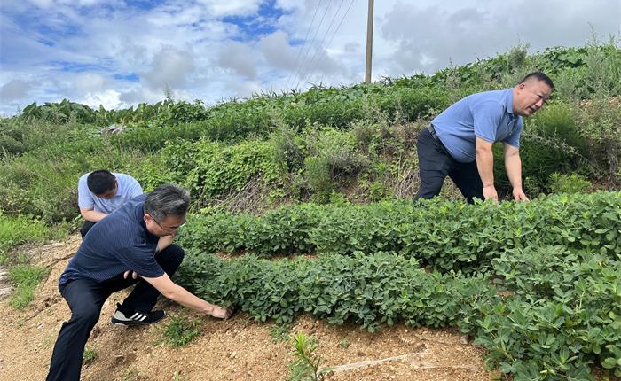 �����(�й���)���޹�˾����